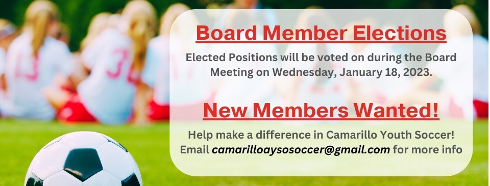 Board Members