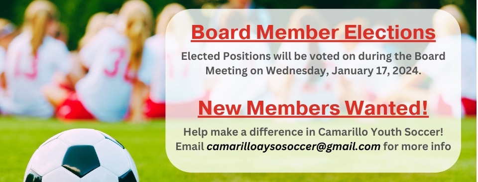 Board Members Wanted